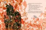 EU36 - Aivoie, Naivoie si Motanul Anevoie - Olina Ortiz, cu activitati de la Oana Moraru - Editura Univers