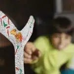 boomerang de jucarie